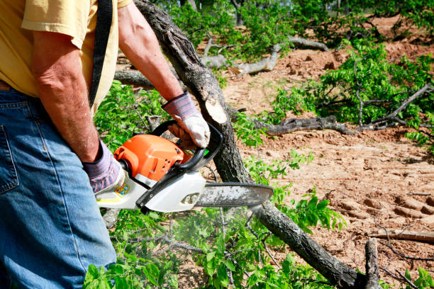 Best Tree Trimming Near Me  in Garrett, WA